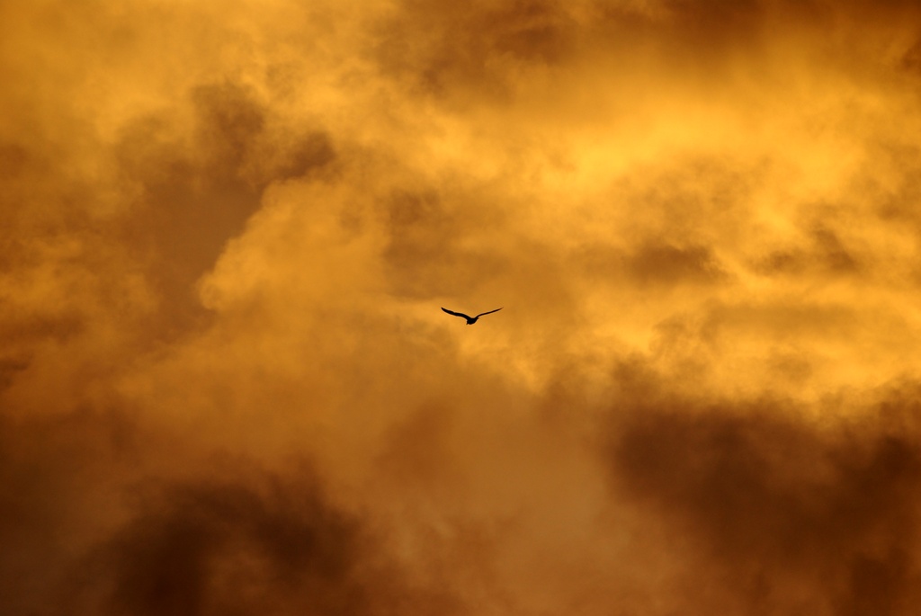 Wallpapers Nature Skies - Clouds nuage en feu