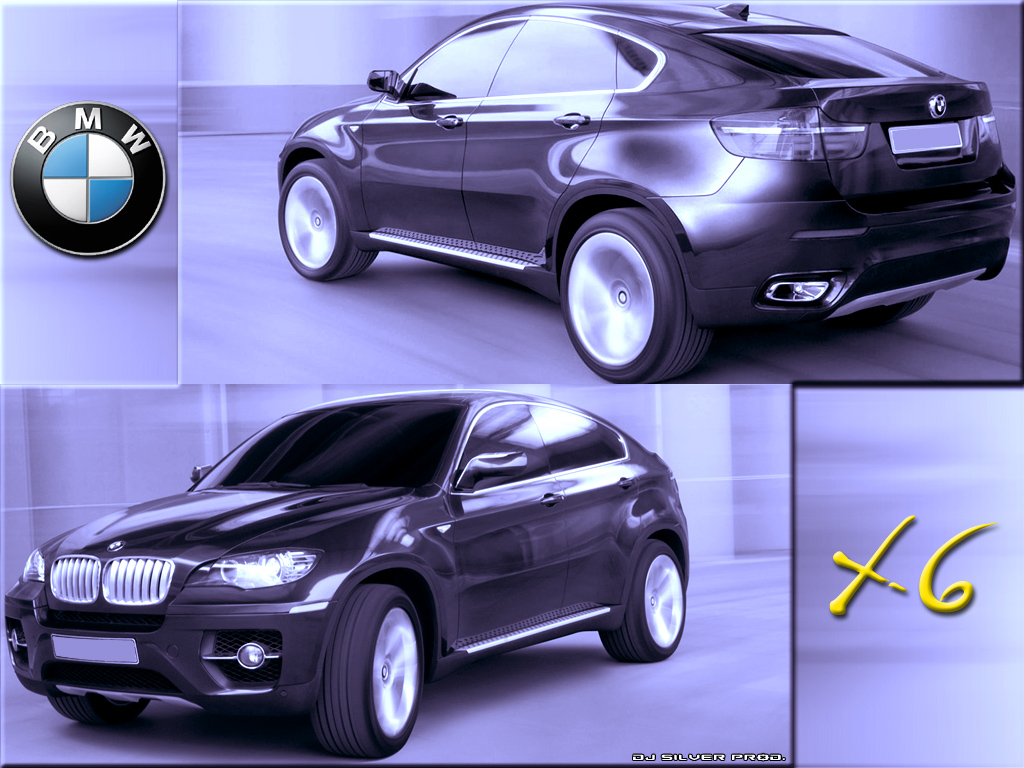 Fonds d'cran Voitures BMW BMW X6