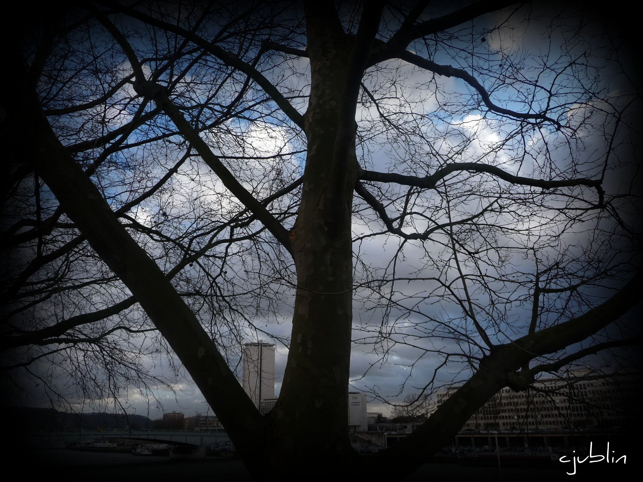 Fonds d'cran Nature Arbres - Forts un trinagle dans le ciel