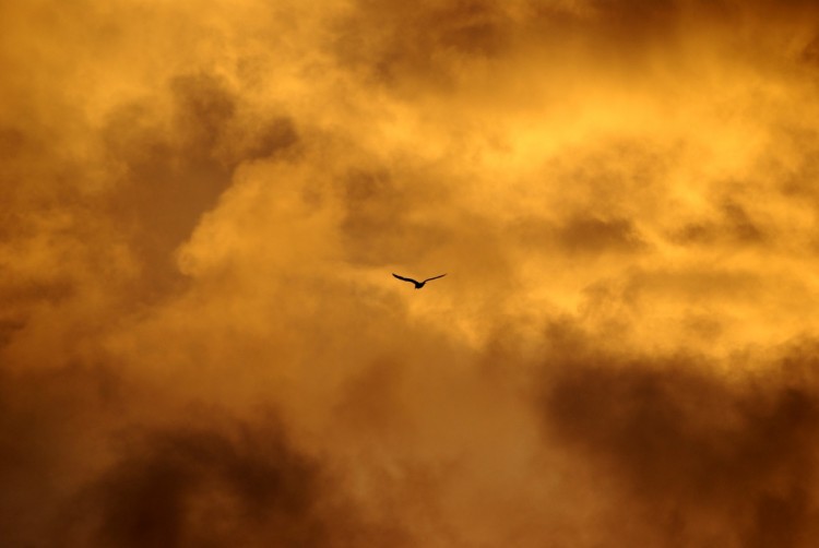 Fonds d'cran Nature Ciel - Nuages nuage en feu