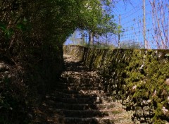 Fonds d'cran Nature Escalier sauvage