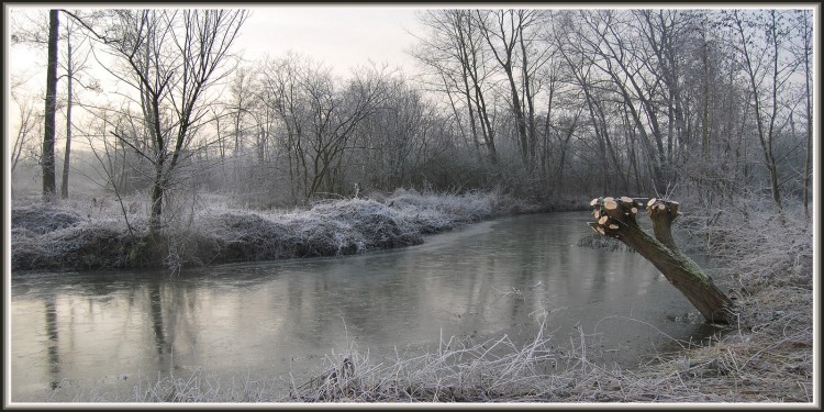 Fonds d'cran Nature Saisons - Hiver Hiver sur les Marais d'Isle  Saint-Quentin (02)