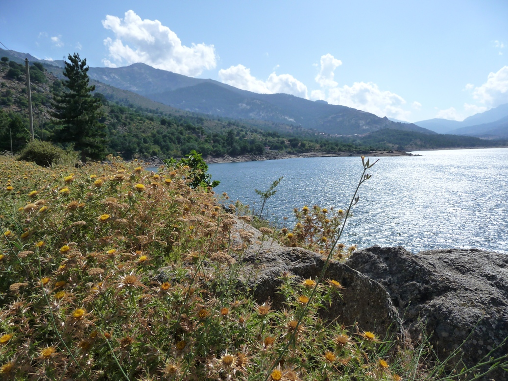 Fonds d'cran Nature Lacs - Etangs Le lac en Haute Corse