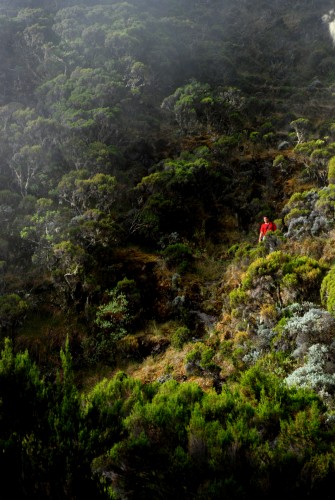 Fonds d'cran Nature Montagnes L'homme du piton des neiges