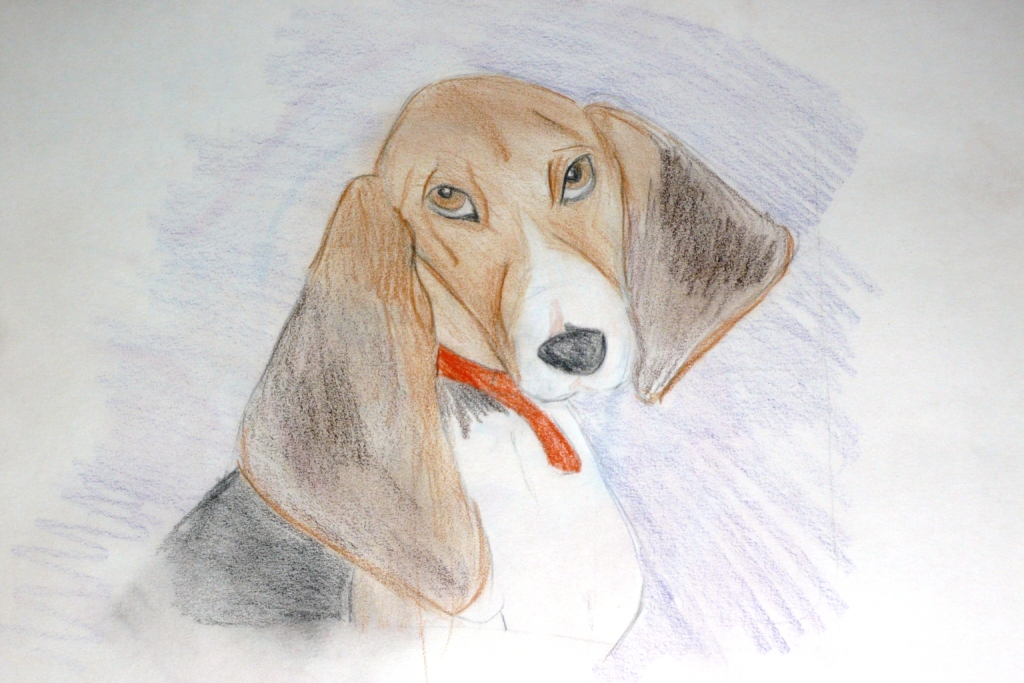 Fonds d'cran Art - Crayon Animaux - Chiens cactus