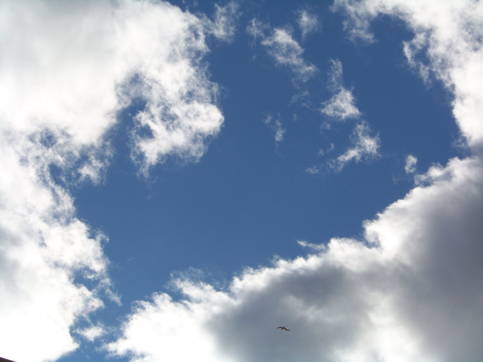 Wallpapers Nature Skies - Clouds 