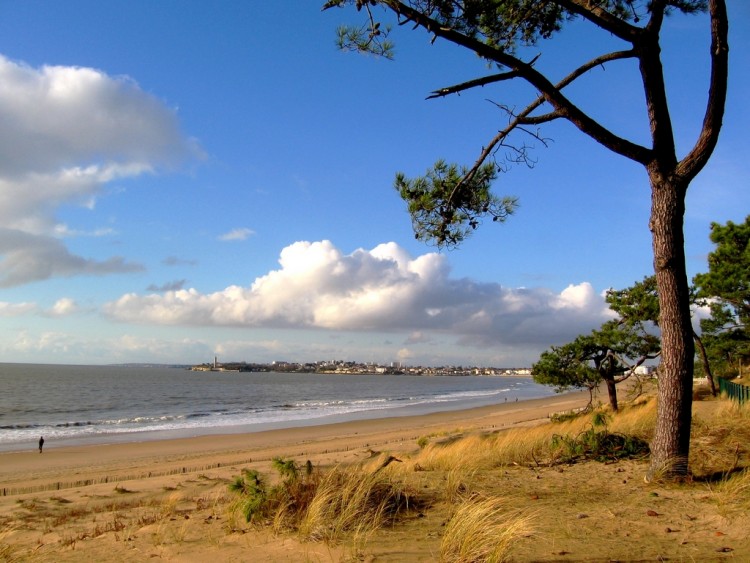 Fonds d'cran Nature Mers - Ocans - Plages St Georges de Didonne