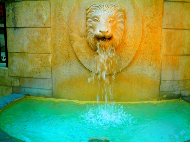 Fonds d'cran Constructions et architecture Fontaines - Jets d'eau Head of the Lion - Auxerre