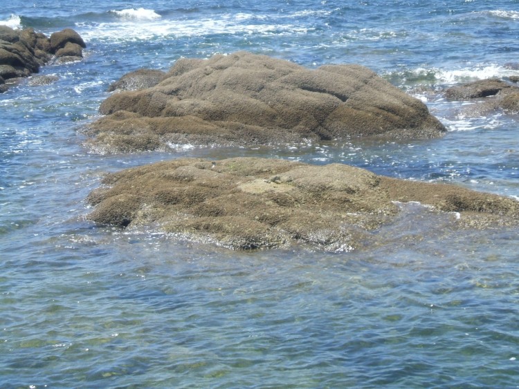 Fonds d'cran Nature Mers - Ocans - Plages L'Atlantique