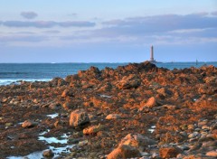 Fonds d'cran Nature Goury - France