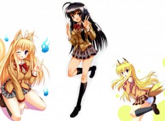 Fonds d'cran Manga Kanokon