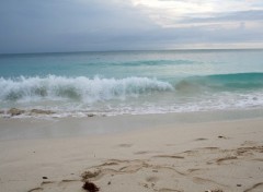 Fonds d'cran Nature TULUM PLAYA