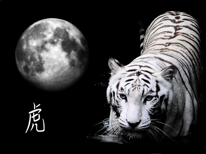 Wallpapers Animals Felines - Tigers the tiger