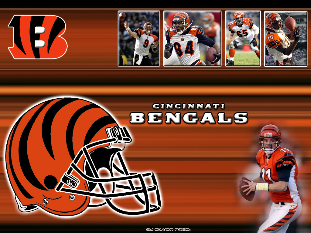 Wallpapers Sports - Leisures American Football Bengals