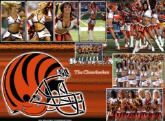 Fonds d'cran Sports - Loisirs The Cheerleaders Bengals