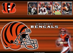 Wallpapers Sports - Leisures Bengals