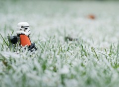 Fonds d'cran Art - Numrique Je voudrais un Snowtroopers