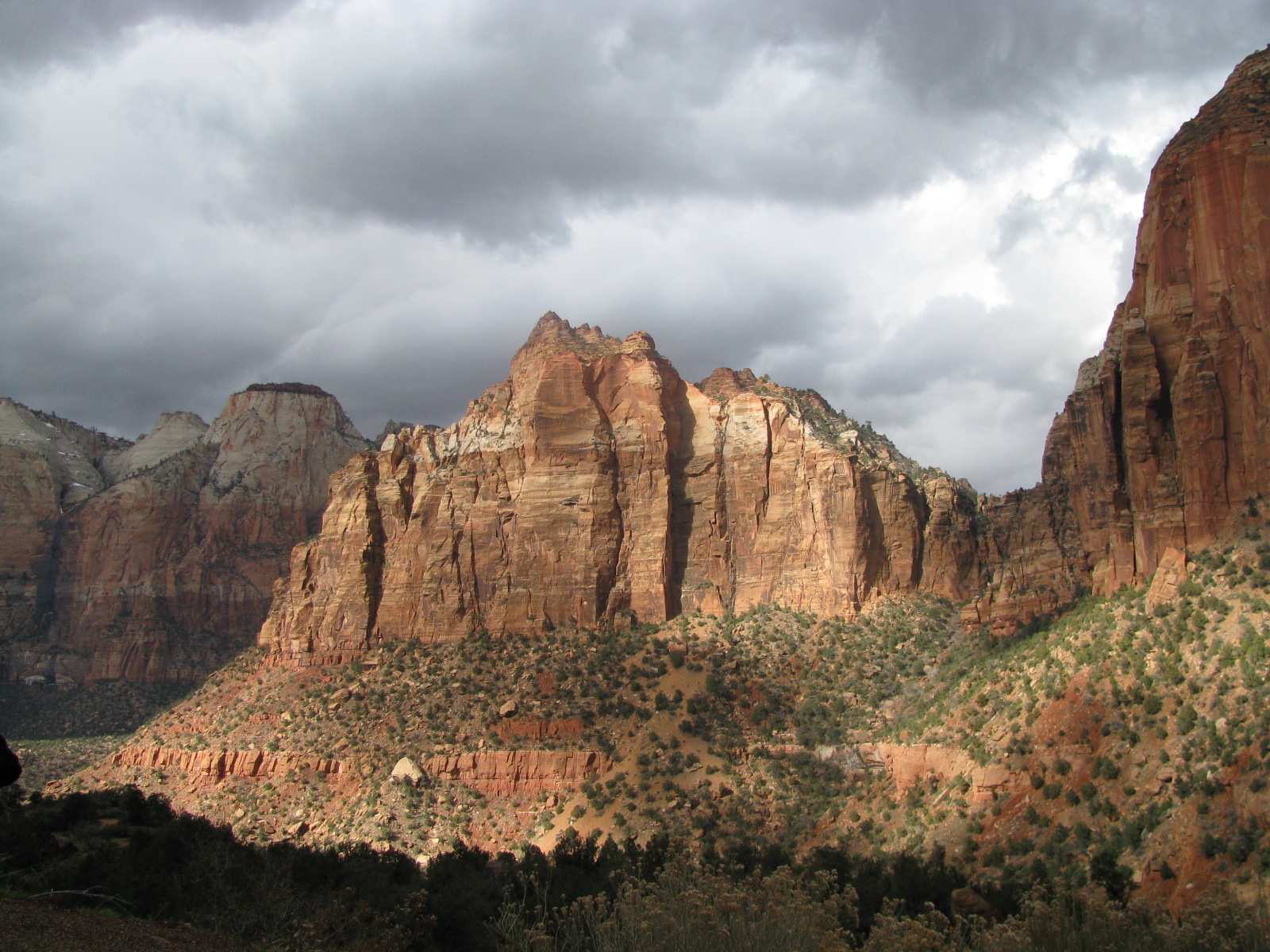 Fonds d'cran Voyages : Amrique du nord Etats-Unis parc zyon