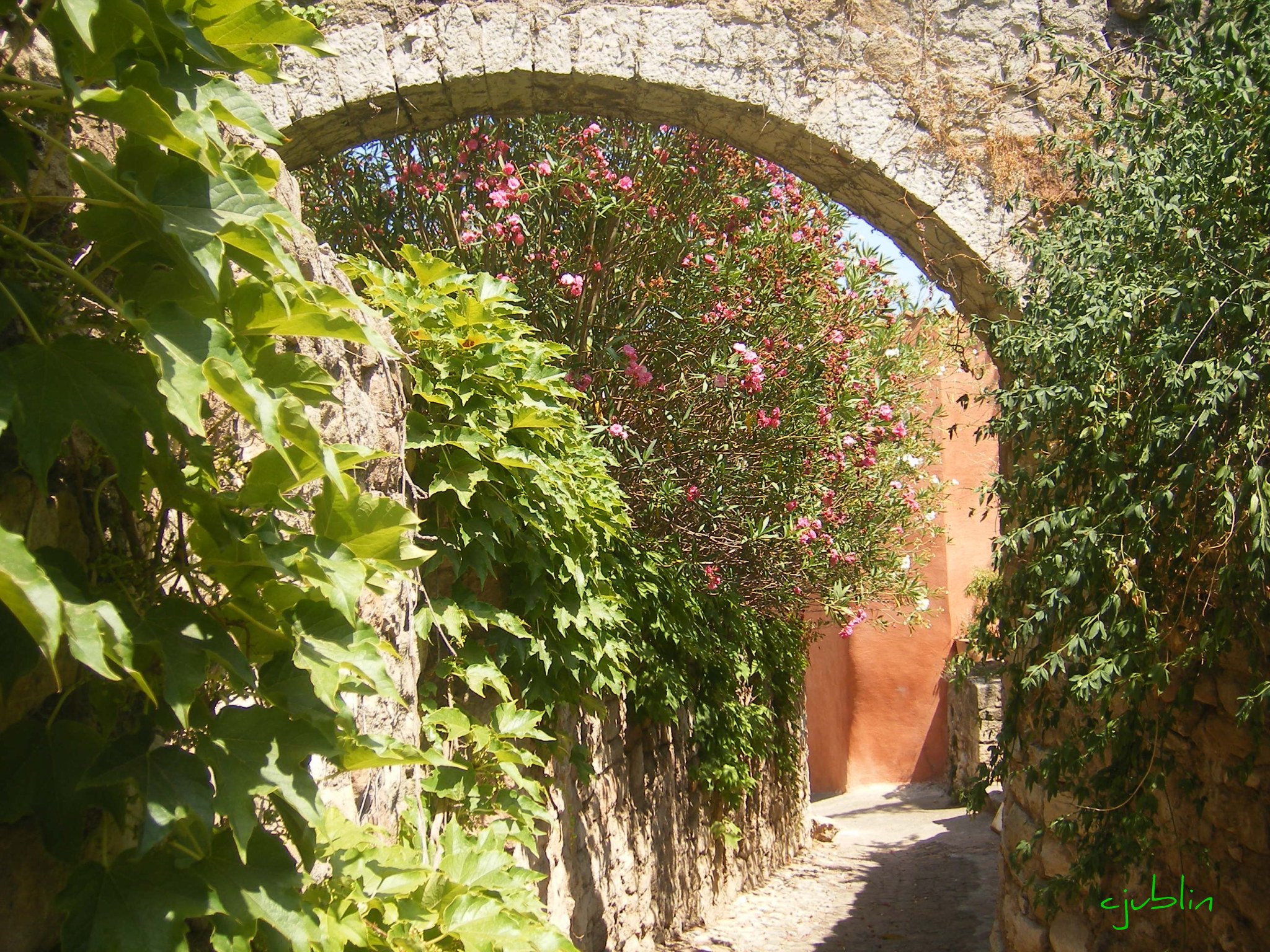 Wallpapers Trips : Europ France > Provence-Alpes-Côte d'Azur une verdure si flamboyante