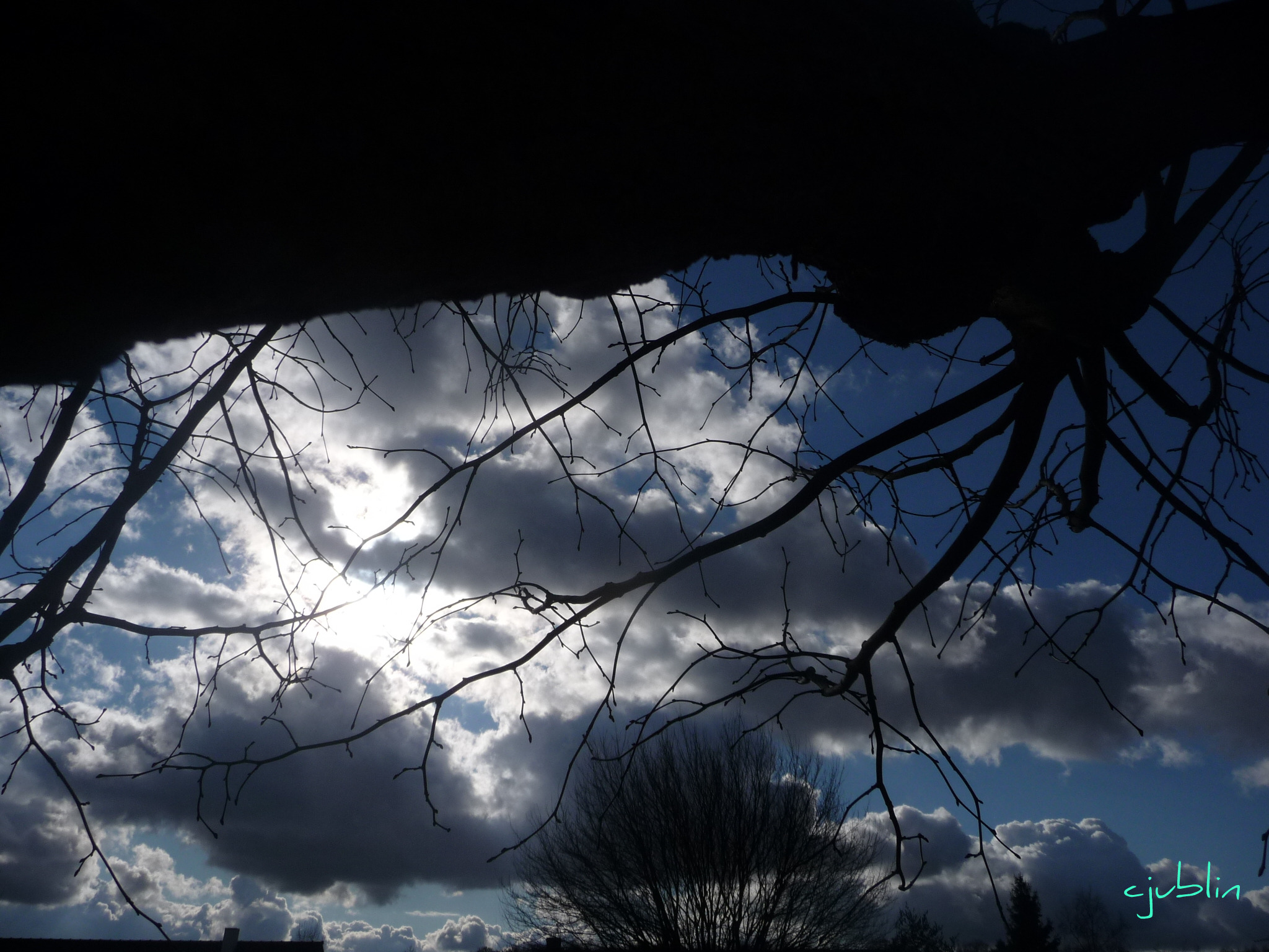 Fonds d'cran Nature Ciel - Nuages des branches trs nuageuses 