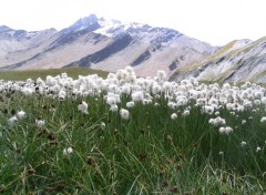 Fonds d'cran Nature Montagne