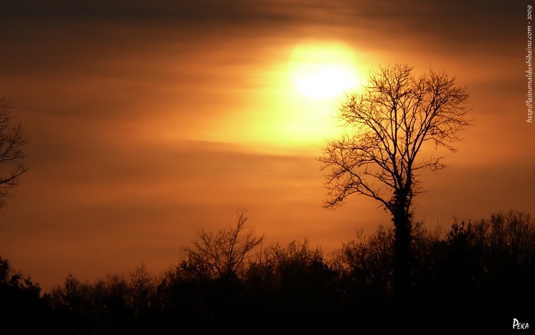 Fonds d'cran Nature Couchers et levers de Soleil Crpuscule sur la savane