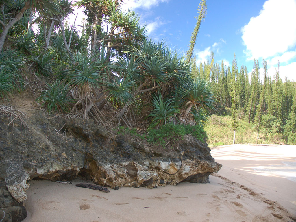 Wallpapers Nature Seas - Oceans - Beaches plage caldonienne