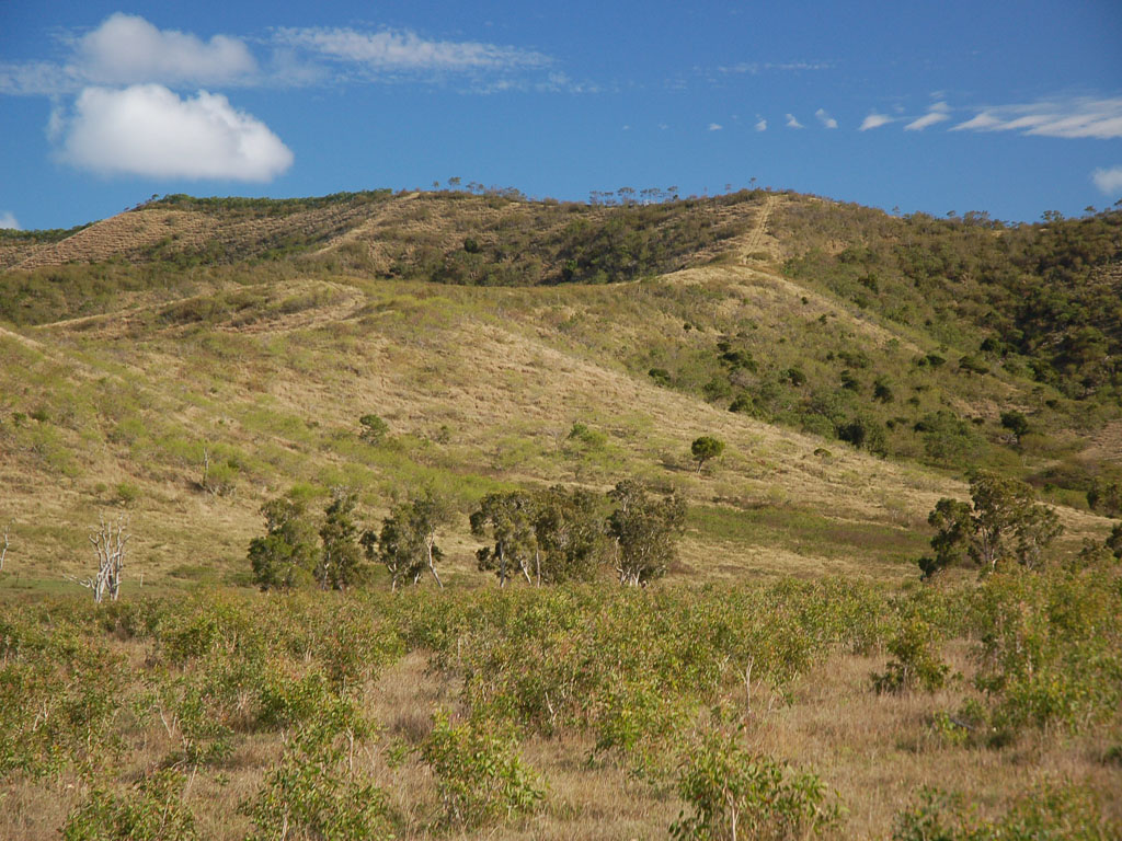 Fonds d'cran Nature Paysages brousse