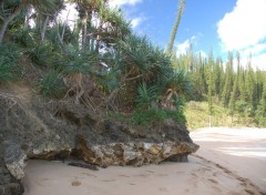 Fonds d'cran Nature plage caldonienne