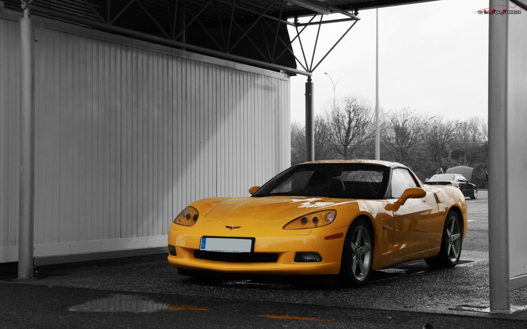 Wallpapers Cars Chevrolet Chevrolet Corvette C6