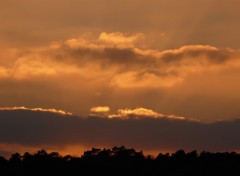 Fonds d'cran Nature Coucher de soleil sur les bois