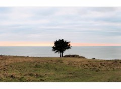 Fonds d'cran Nature Plage de la Courance  Saint Nazaire