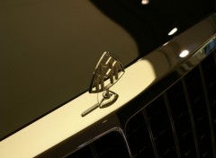 Fonds d'cran Voitures logo maybach