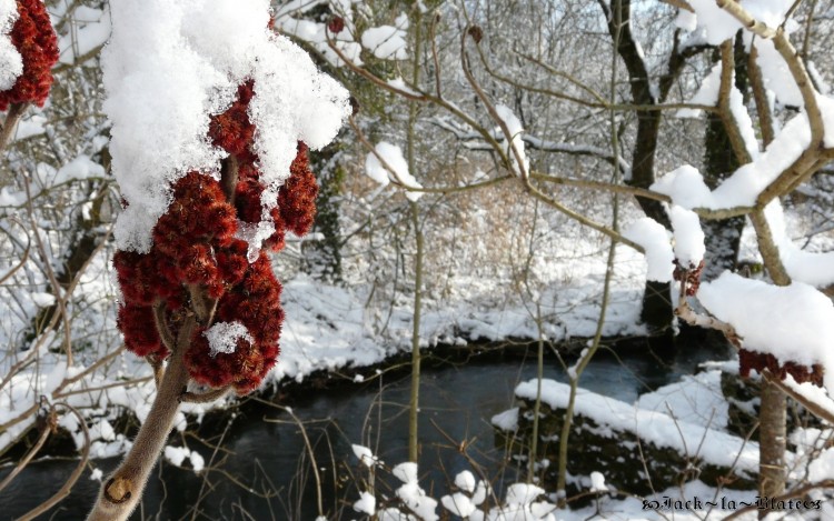 Fonds d'cran Nature Saisons - Hiver neige de nol