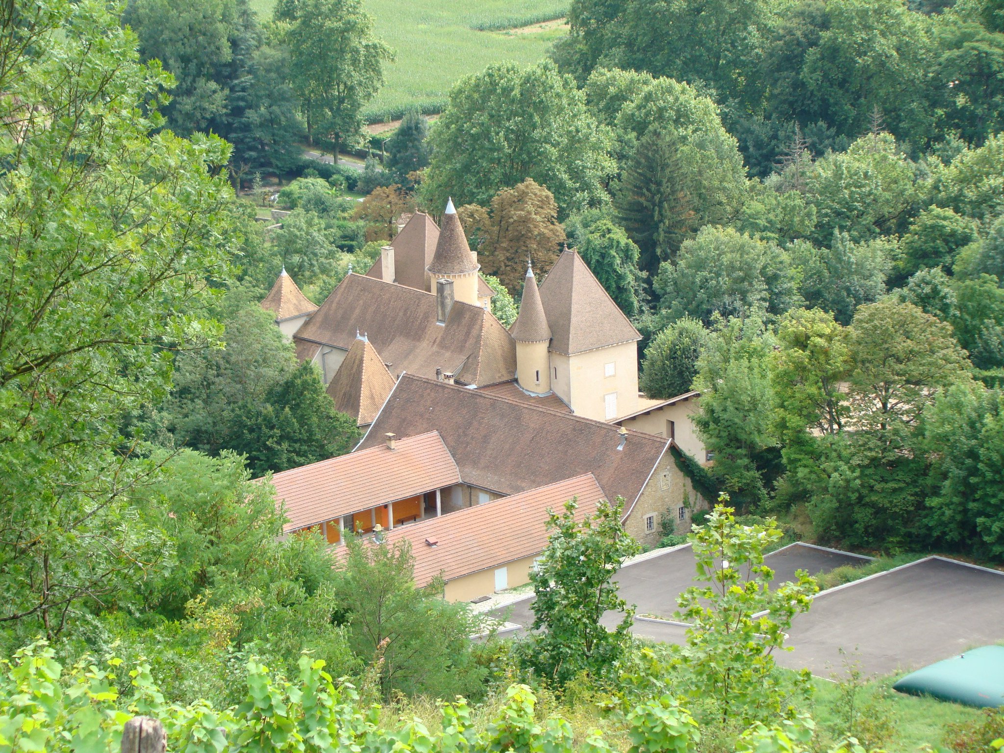 Fonds d'cran Constructions et architecture Chteaux - Palais Chteau de Saint Sorlin en Bugey (AIN)