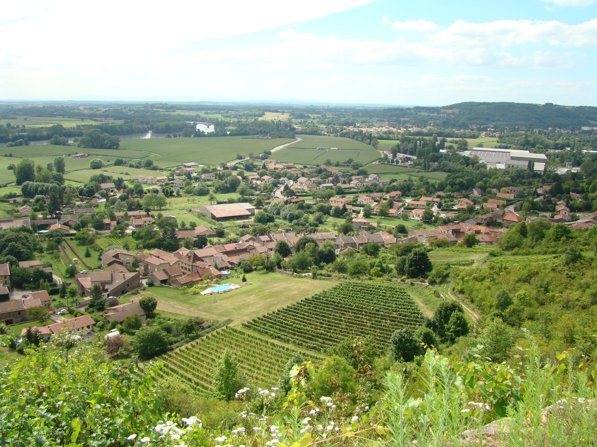 Fonds d'cran Nature Campagne Saint Sorlin en Bugey (AIN)