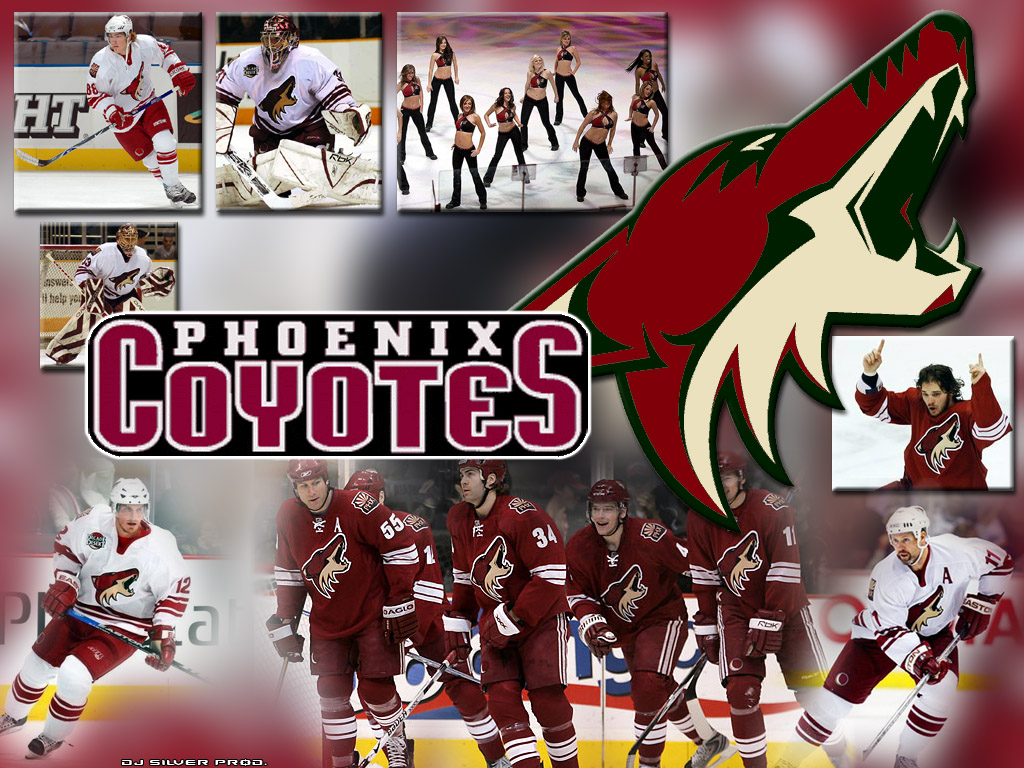 Wallpapers Sports - Leisures Hockey Phoenix Coyotes