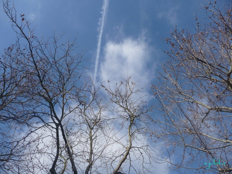 Fonds d'cran Nature Ciel - Nuages une course dans le ciel