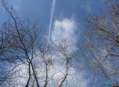 Fonds d'cran Nature une course dans le ciel