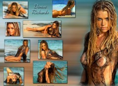 Fonds d'cran Charme Denise Richards 