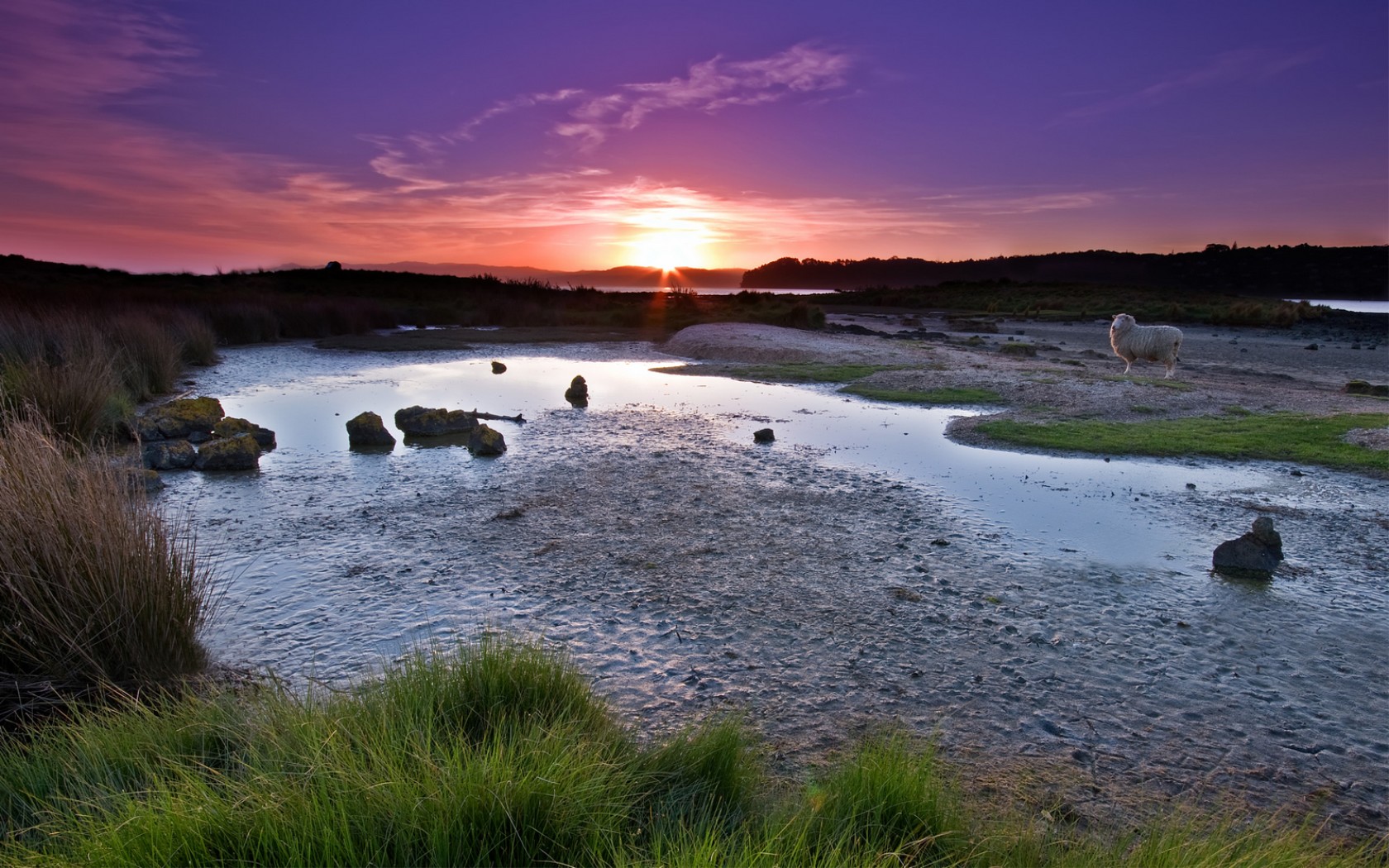 Fonds d'cran Nature Couchers et levers de Soleil Coucher de soleil sur le parc Ambury 