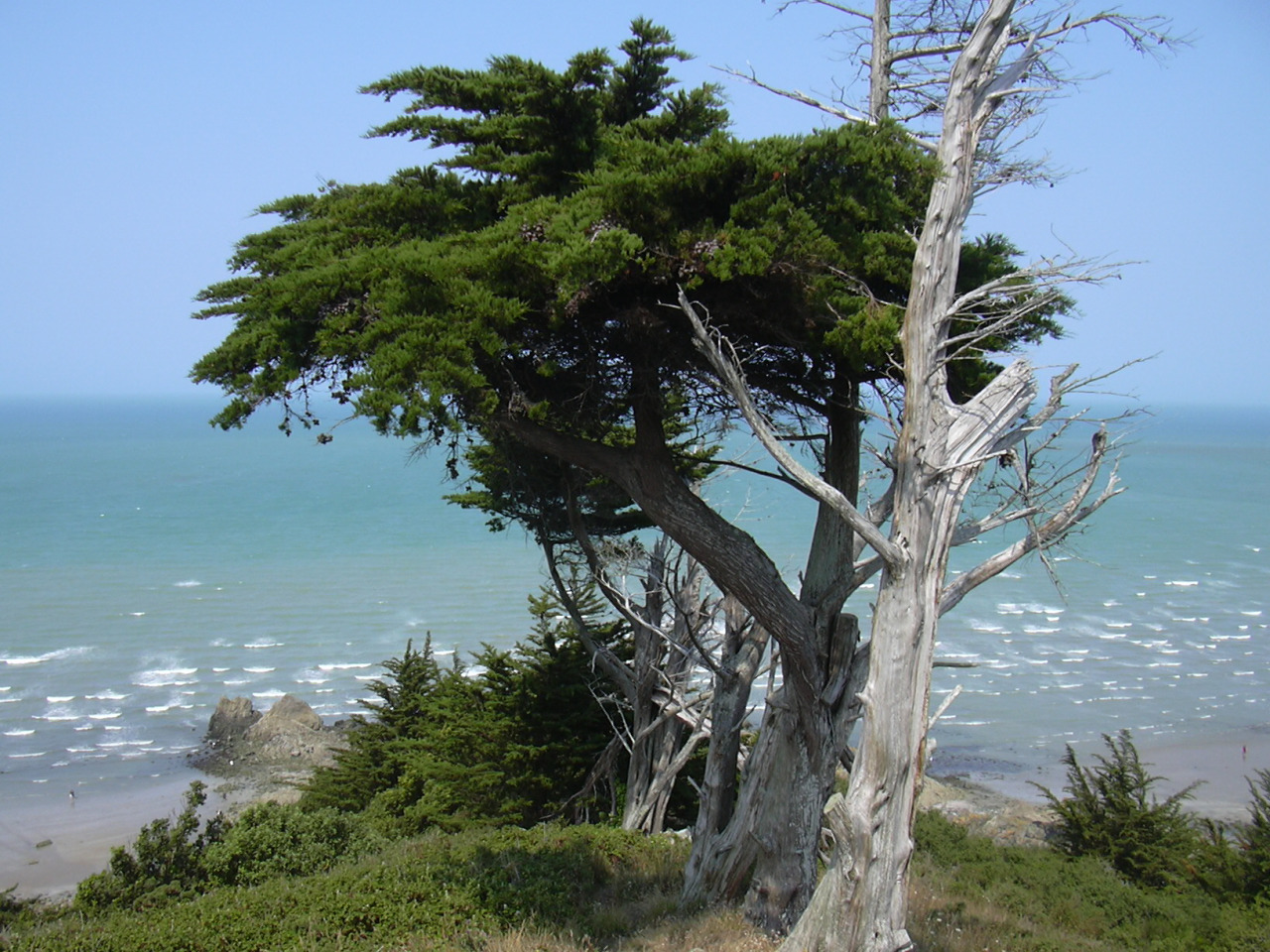 Wallpapers Nature Seas - Oceans - Beaches pointe rosaire plerin