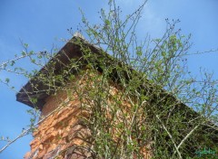 Fonds d'cran Nature dans feuilles dans l'azur