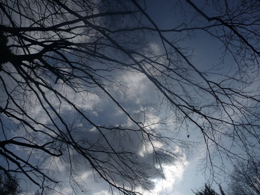 Fonds d'cran Nature Ciel - Nuages des nuages et des arbres