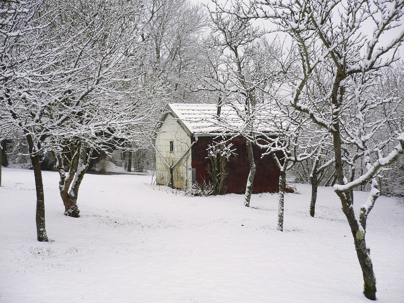 Fonds d'cran Constructions et architecture Cabanes - Cabines Ma cabane au canada ...