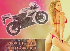 Fonds d'cran Erotic Art Honda cbr 600