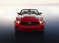 Wallpapers Cars Ford Mustang 2010