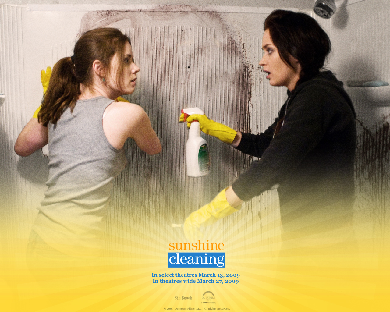 Fonds d'cran Cinma Sunshine Cleaning 