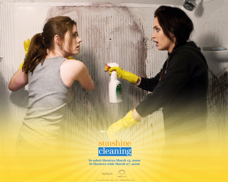 Fonds d'cran Cinma Sunshine Cleaning Wallpaper N228596