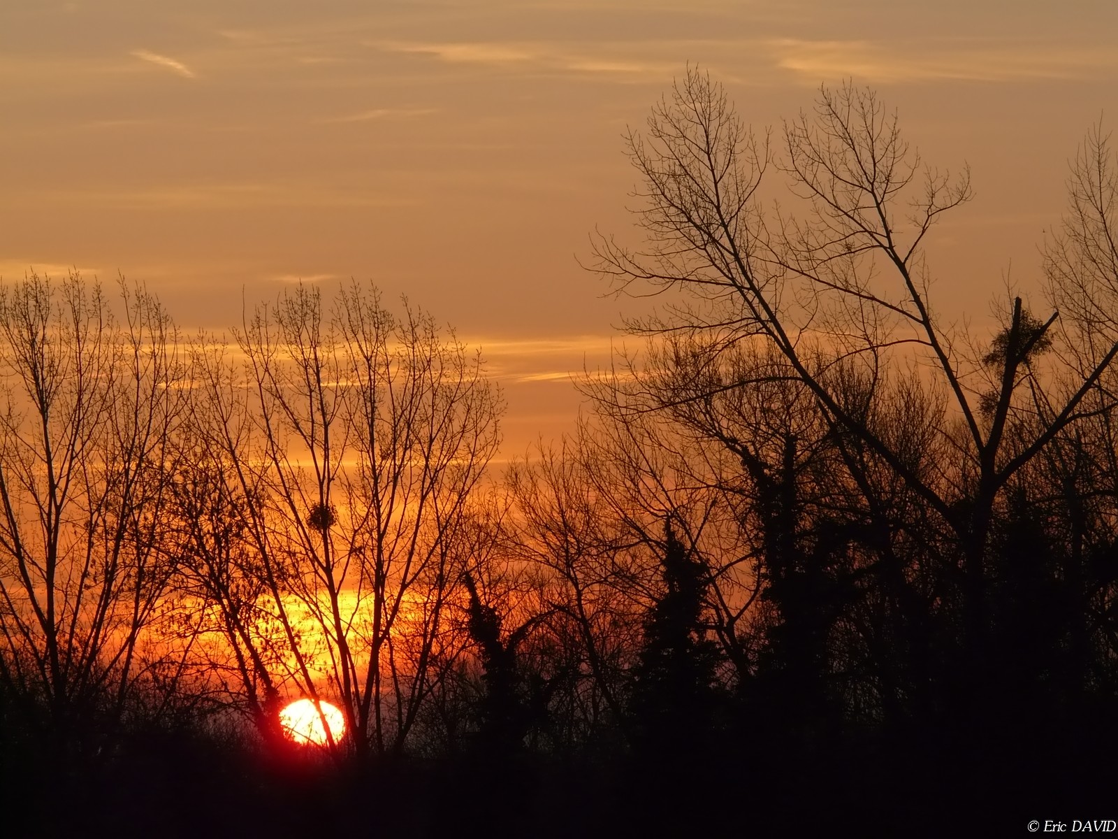 Fonds d'cran Nature Couchers et levers de Soleil Matin ardent